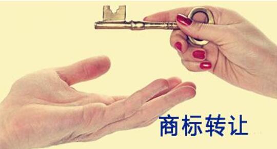 转让商标平台能为用户提供哪些服务